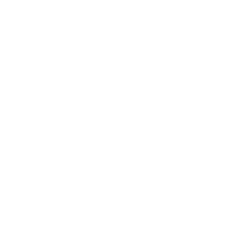logogogog